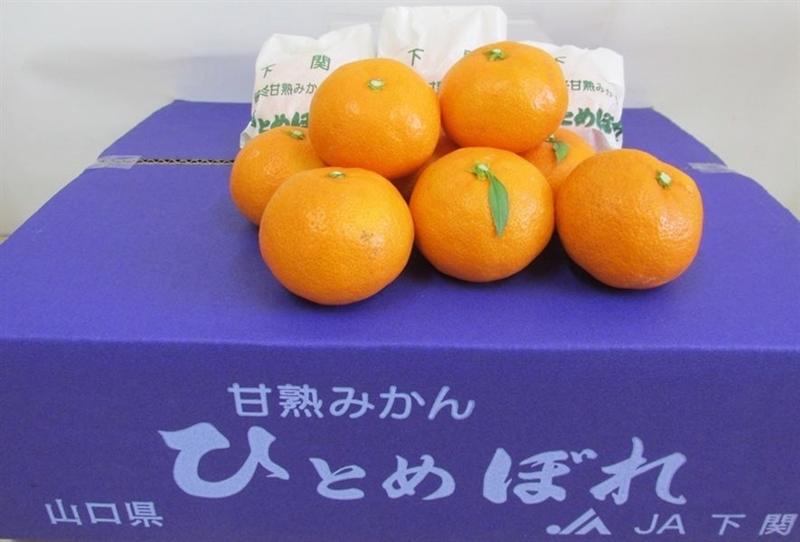 八ちゃん堂 【 ひとくちむかん 1.5kg 】 ( 500g × 3袋 ) 送料