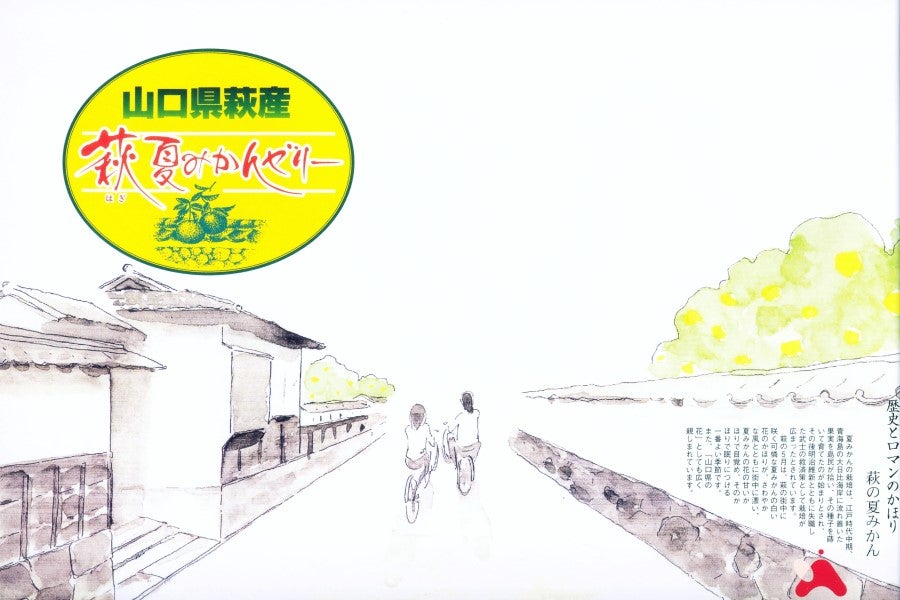 産地直送 通販 お取り寄せ果肉たっぷり 萩夏みかんゼリー 15個入 正直やまぐち ｊａタウン