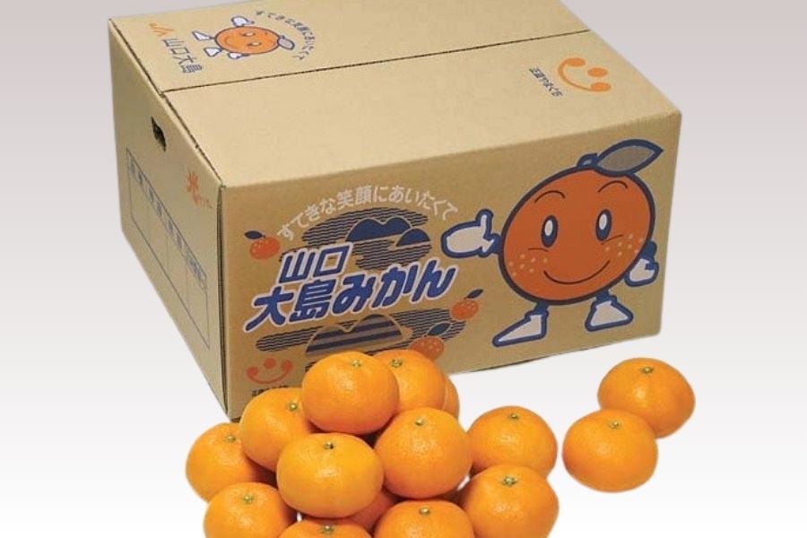 極早生みかん 【ご家庭用・約10kg】 ～みかんの島からお届け～: 正直