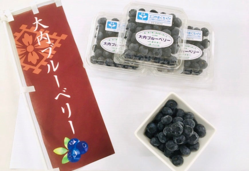産地直送 通販 お取り寄せ大内 ブルーベリー 100g 12p 正直やまぐち jaタウン 産地直送 通販 お取り寄せ大内 ブルーベリー 100g 12p 正直やまぐち jaタウン