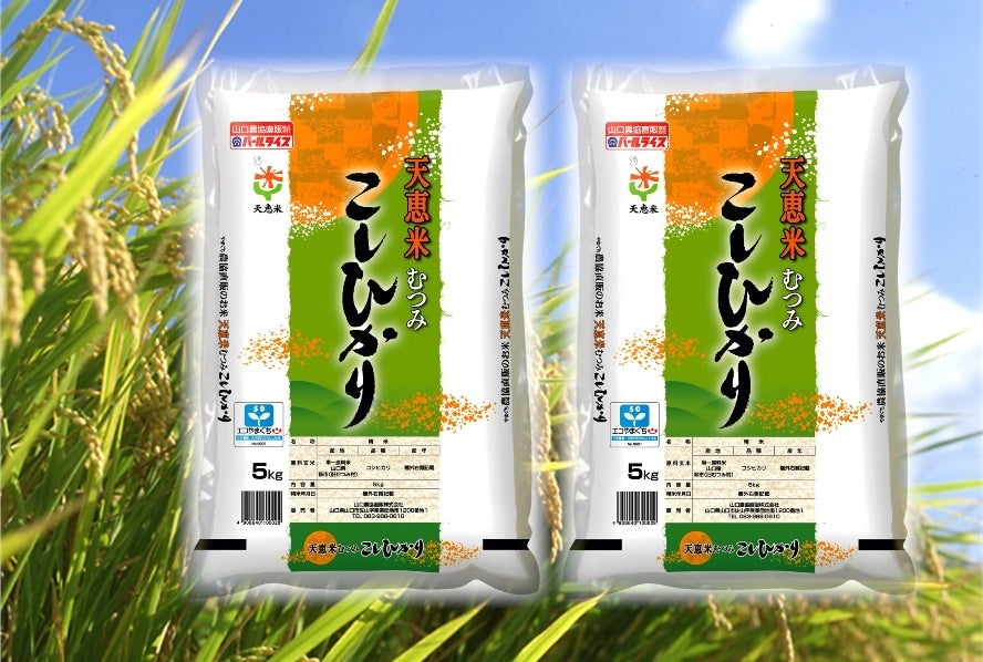 「特別栽培米」天恵米むつみこしひかり　令和３年産･10kg(5kg×2)