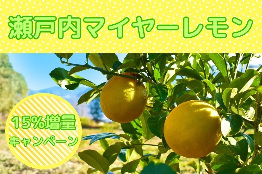 山口県産 瀬戸内マイヤーレモン: 正直やまぐち|【ＪＡタウン】産地直送 通販 お取り寄せ
