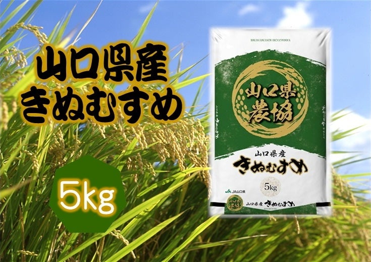 新米 「きぬむすめ(山口県農協)」 令和5年産・1袋(5kg)