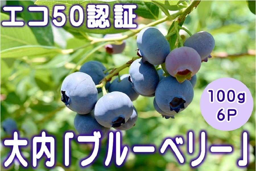 大内 「ブルーベリー」 100g×6P: 正直やまぐち|【ＪＡタウン】産地直送 通販 お取り寄せ