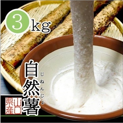 カット 自然薯(じねんじょ)  約3kg