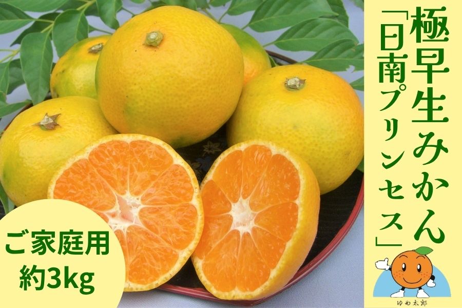 極早生みかん 「日南プリンセス」【ご家庭用・約3kg】 ～みかんの島