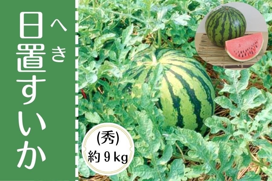 2025年先行予約】 倉吉スイカ 1玉 2L サイズ（JA鳥取中央） 果物