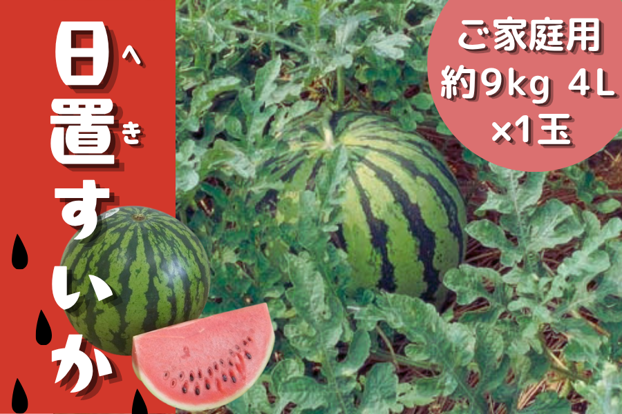 ご家庭用 日置(へき)すいか 約9kg 1玉: 正直やまぐち|【JAタウン