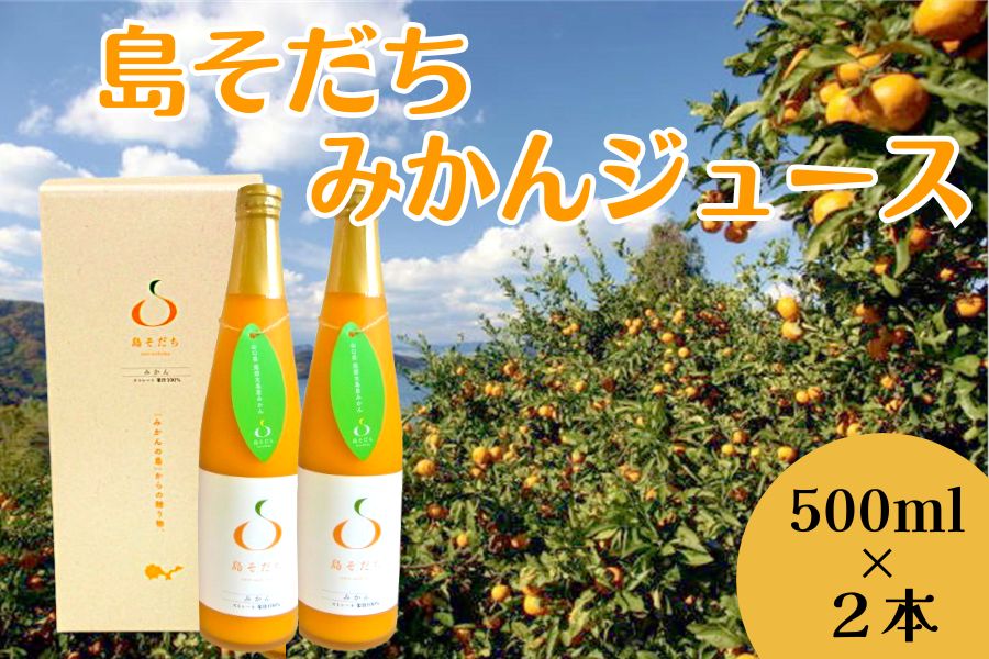 お中元 島そだち みかんジュース 500ml 2本: 正直やまぐち|【JA