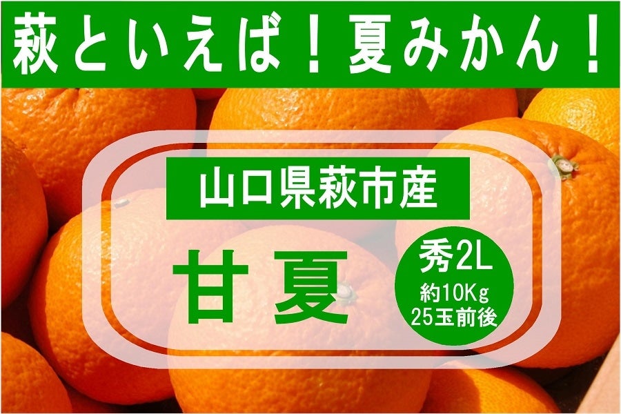 産地直送 通販 お取り寄せ初夏を告げる柑橘 萩の 甘夏 2ｌサイズ約10kg 正直やまぐち ｊａタウン