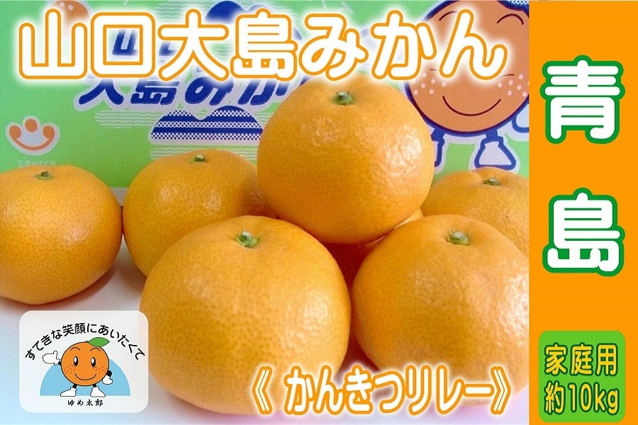 産地直送 通販 お取り寄せ山口大島みかん 青島 ご家庭用 約10kg みかんの島からお届け 正直やまぐち ｊａタウン