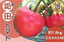 ���Y�҂��I�є������I�u�C�c(������)�̂��������g�}�g�v