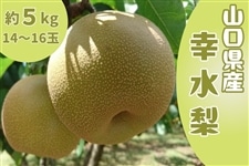 �u�K��(��������)���v ��5kg