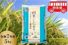 �y���}�ցz���������Ђ���(������) �ߘa7�N�Y�5kg