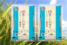 y}ցzЂ()@ߘa6NYE10kg(5kg×2)