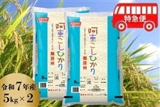 �y���}�ցz���������Ђ���(������) �ߘa7�N�Y�10kg(5kg×2)