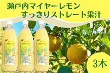 ���˓��}�C���[������ ��������X�g���[�g�ʏ` 1,000ml×3�{