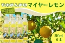 ���̂܂�܂̃}�C���[������ 200ml×�U�{