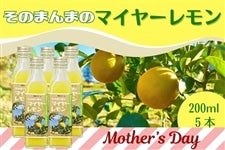 ��̓� ���̂܂�܂̃}�C���[������ 200ml×�T�{