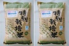 特別栽培米 「鹿野 こしひかり エコ50」 令和3年産・10kg(5kg×2)