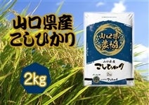 「こしひかり(山口県農協)」 令和3年産・1袋(2kg)