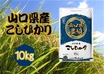 V uЂ(R_)v ߘa5NYE1(10kg)