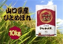 V uЂƂ߂ڂ(R_)v ߘa5NYE1(10kg)