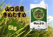 V uʂނ(R_)v ߘa5NYE1(5kg)