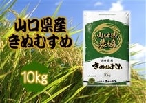 V uʂނ(R_)v ߘa5NYE1(10kg)