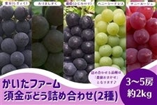 [t@[]u{Ԃǂ l()v8/18()`