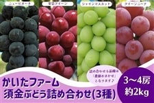 [t@[]u{Ԃǂ l(O)v9/5()`