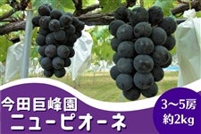 [c]uj[sI[lE{Ԃǂv 9/5()`