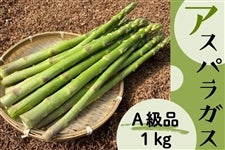 �A��(���傭��イ)�t�@�[���̃A�X�p���K�X ��1kg (�`���i)