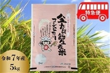 �y���}�ցz�����Y�����Y�āu�����Ђ���v�ߘa7�N�Y�E5kg