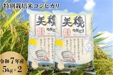 ���ʍ͔|�� �R�V�q�J���u����̂��ق�v�ߘa7�N�Y�E10kg(5kg×2)