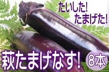 I܂I܂ȂIڂ܂܂Iy8{z