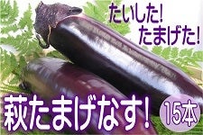 I܂I܂ȂIڂ܂܂Iy15{z