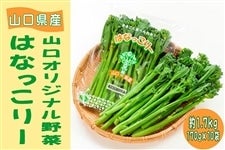 ͂Ȃ[ 1.7kg