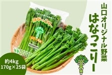 ͂Ȃ[ 4kg