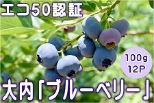  uu[x[v 100g×12P