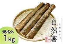 �K�i�O ���R��(���˂񂶂�)  ��1kg