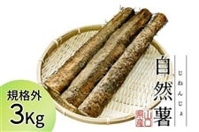 �K�i�O ���R��(���˂񂶂�)  ��3kg