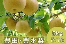 uLcELvy5kgz`z^Ƃœ̗`yʌ30P[Xz