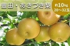 13玉サイズあきづき梨約10kg訳ありご家庭用★送料込★秋田県産 豊田・あきづき梨」【約10kg】～ホタルといで湯の里から～【数量限定10