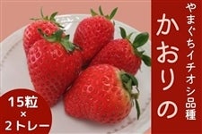 úv  12/15()`19()̊Ԃŏ