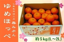 ���Ȃ��̖�����������I�R�����܂�̊��k�u��߂ق��؁v��5kg