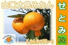 RIWikuƂ݁v5kg