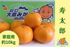 �R���哇�݂���u�����Y���B�v�y���ƒ�p�E��10kg�z�`�݂���̓����炨�͂��`