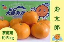 �R���哇�݂���u�����Y���B�v�y���ƒ�p�E��5kg�z�`�݂���̓����炨�͂��`