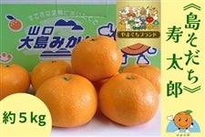 みかん オーダーメイドPC やまぐちブランド】≪島そだち≫山口大島みかん「寿太郎温州」【数量